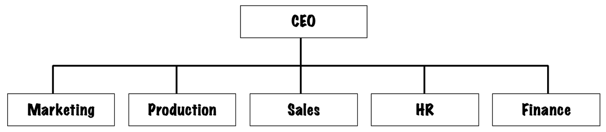 Example of a Functional Structure