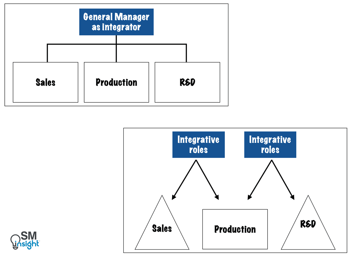 Examples of integrative Roles