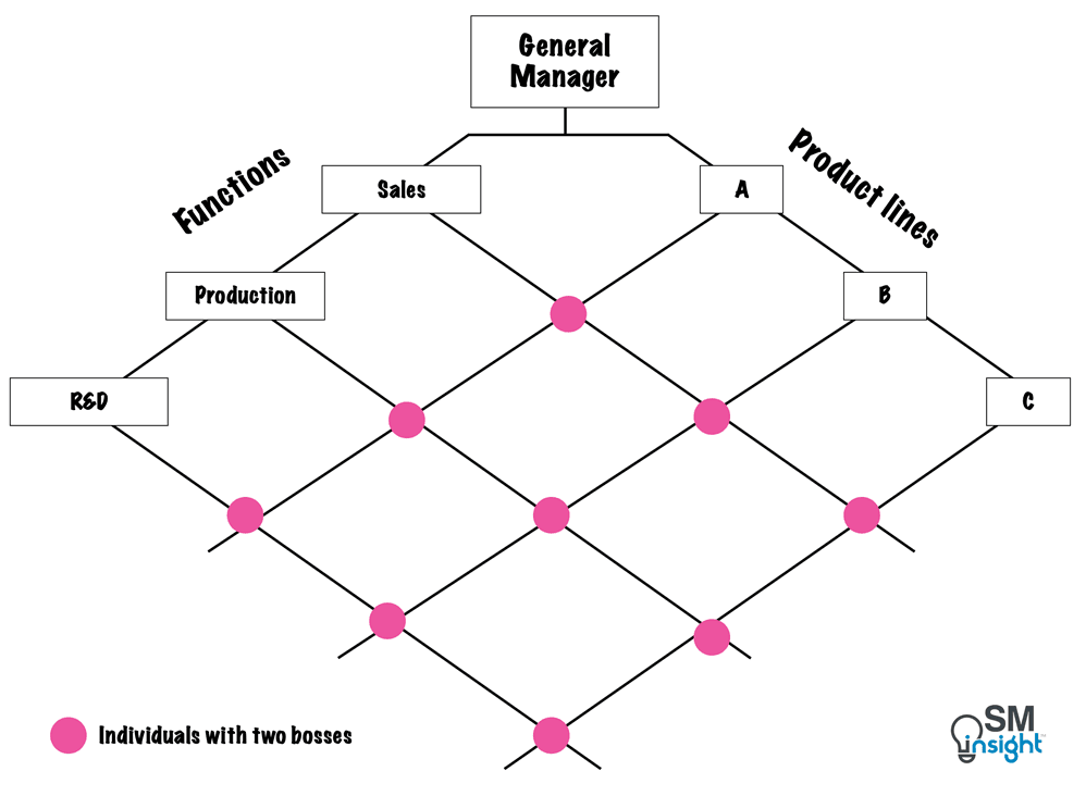 A Highly Idealized Example Of A Matrix Structure Where Every Individual Has Two Bosses