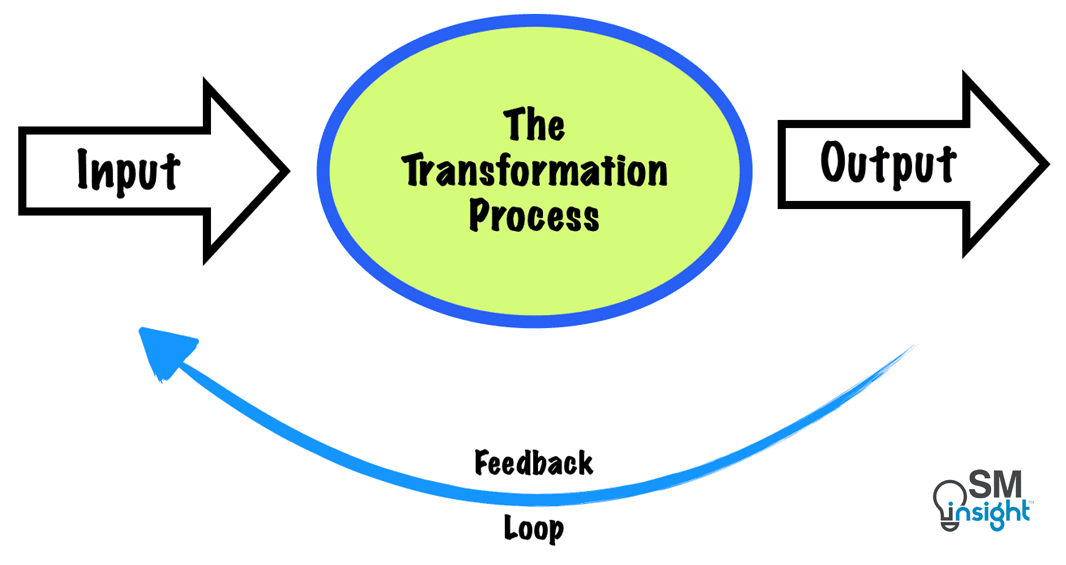 The Open System Model of Organization