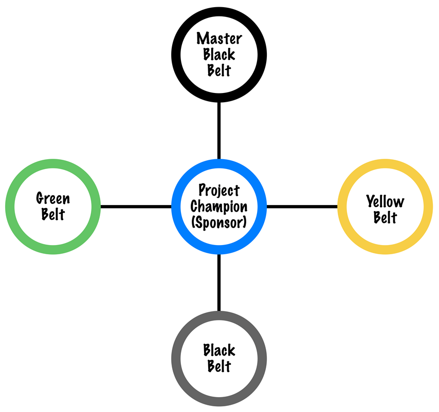 Six Sigma Interacting Roles