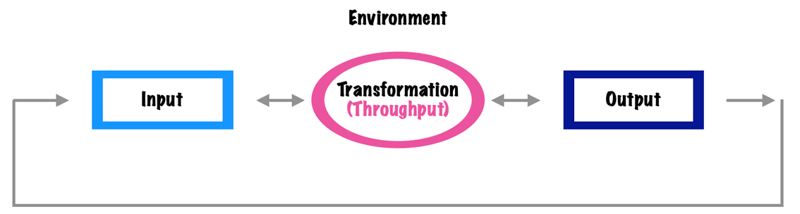 The Open System Theory