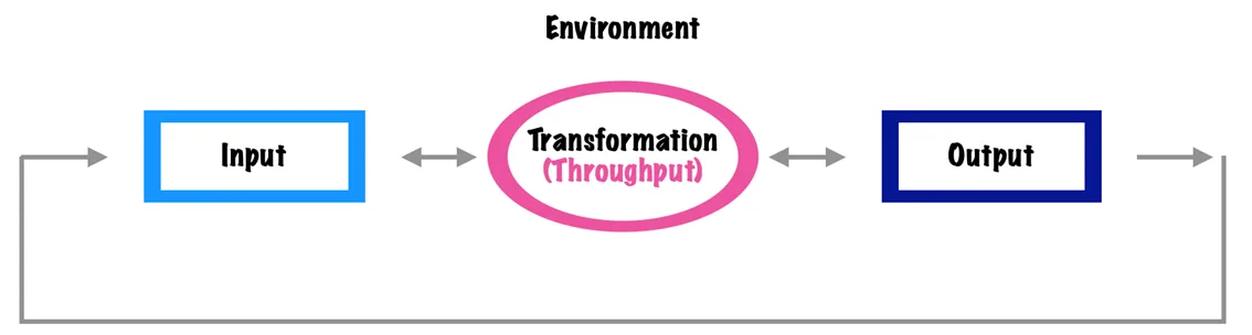 The Open System Theory