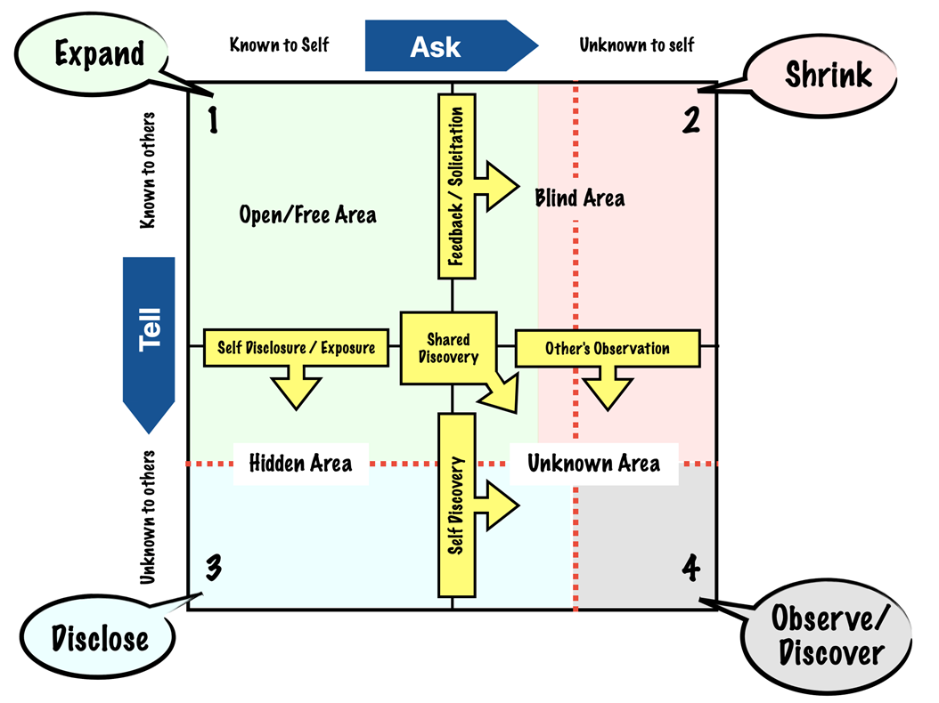 Using the Johari Window 