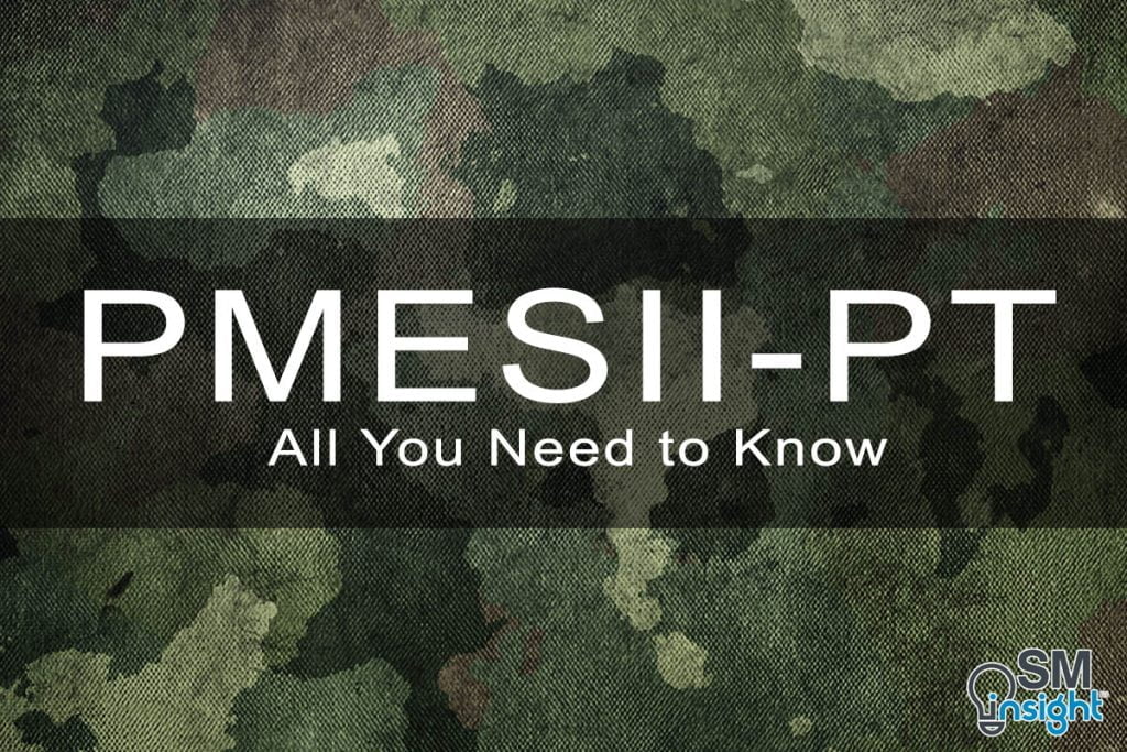 PMESII-PT Explained: In-Depth Guide - SM Insight