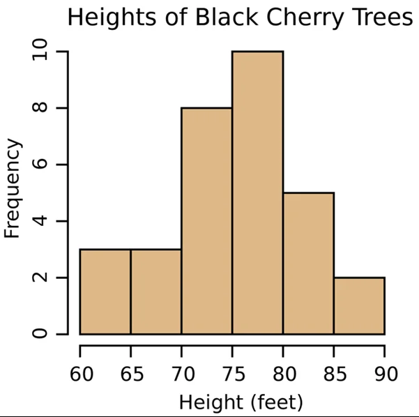 A Histogram showing the distribution of Cherry trees